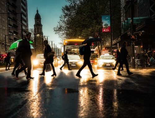 뺑소니 차에 피해를 당했을경우